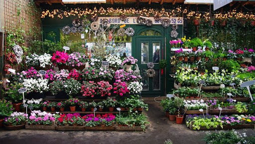 åpen blomsterbutikk